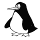 penguin